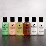 mens haircare shampoo conditioner sample size travel set