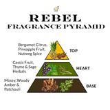 mens cologne fragrance pyramid