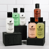 mens haircare shampoo conditioner sample size travel set display