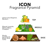 mens cologne fragrance pyramid