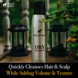 dry shampoo volume texture