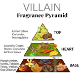 Villain Tom Ford Fragrance